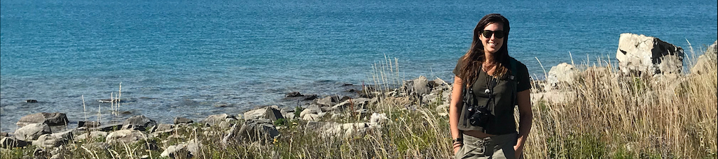 Danielle Sunberg's cover banner