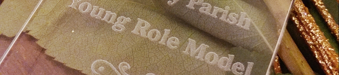 Danika Foley Long's cover banner