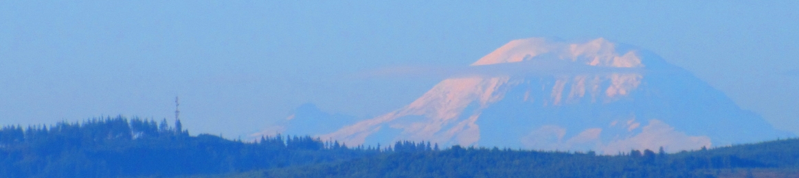 Daphne Robert-Hamilton's cover banner