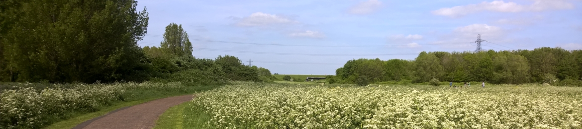 Darren Starr's cover banner