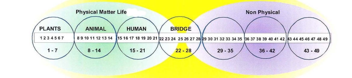 Dave Romain's cover banner