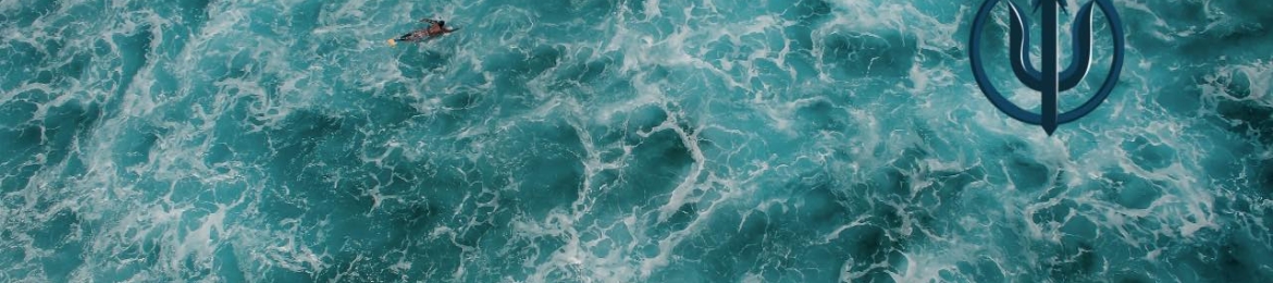 Dave Williams's cover banner