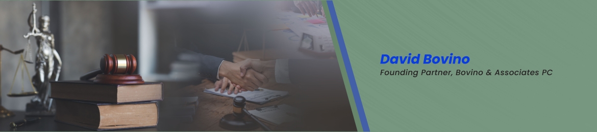 David Bovino's cover banner