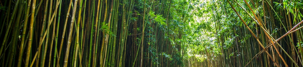 David Boyd's cover banner