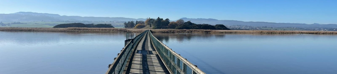 David Doty's cover banner