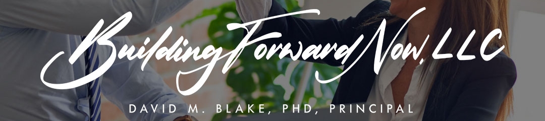 David M Blake's cover banner