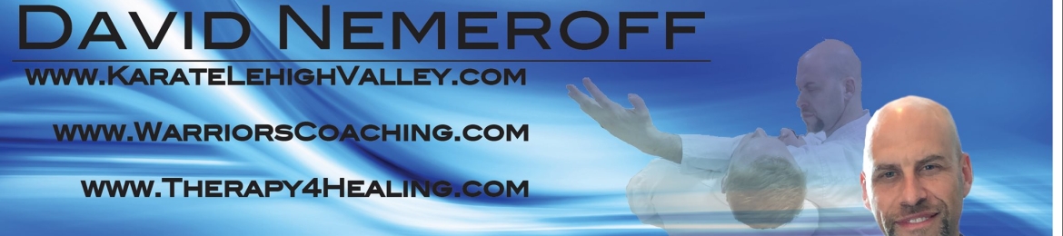 David Nemeroff's cover banner