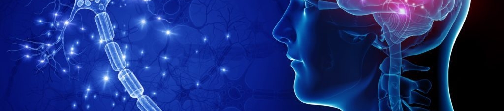 David Schick's cover banner