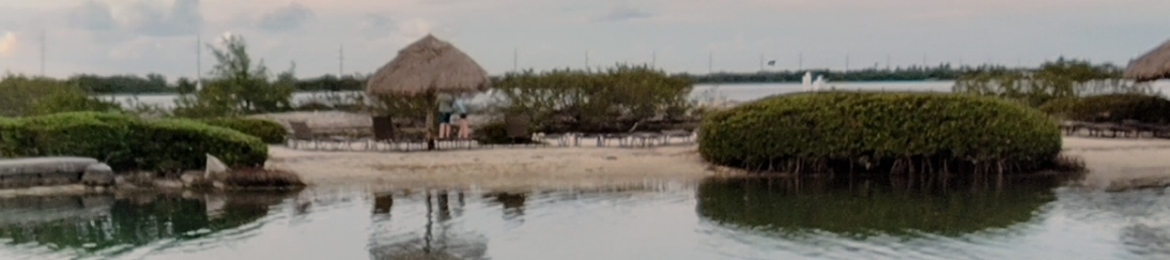 David Troyer's cover banner