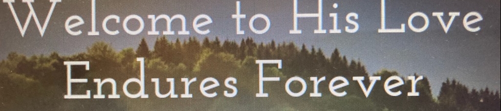 Deborah Markowitz Solan's cover banner