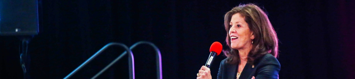 Debra Fine's cover banner