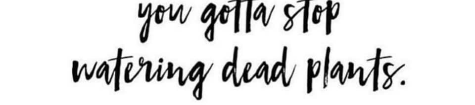 Demetrice Sampson's cover banner