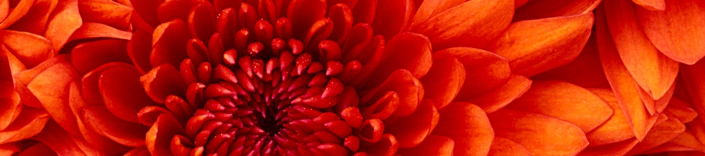 Dhaval Patel's cover banner