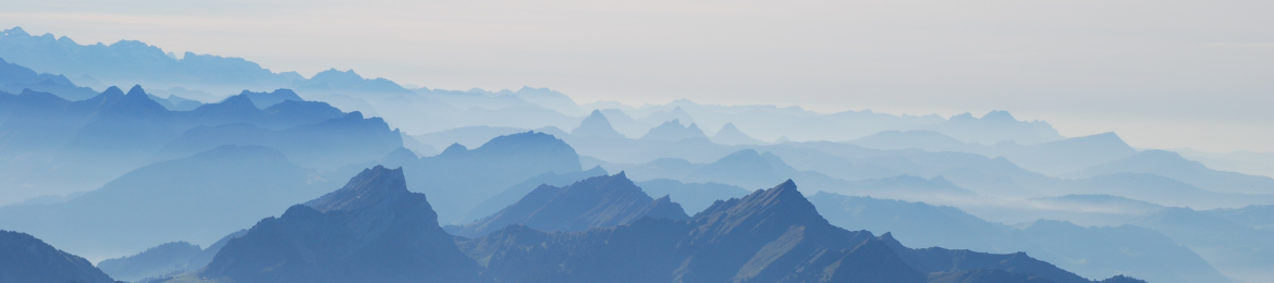 Diana Popa's cover banner