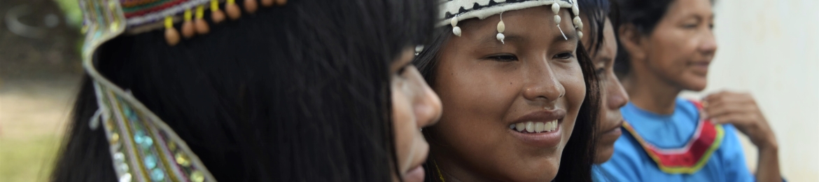 Didem Tali's cover banner