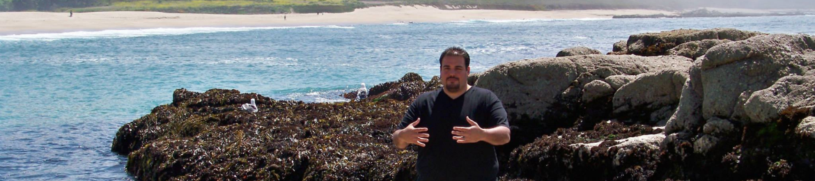 Diego Sanmiquel's cover banner