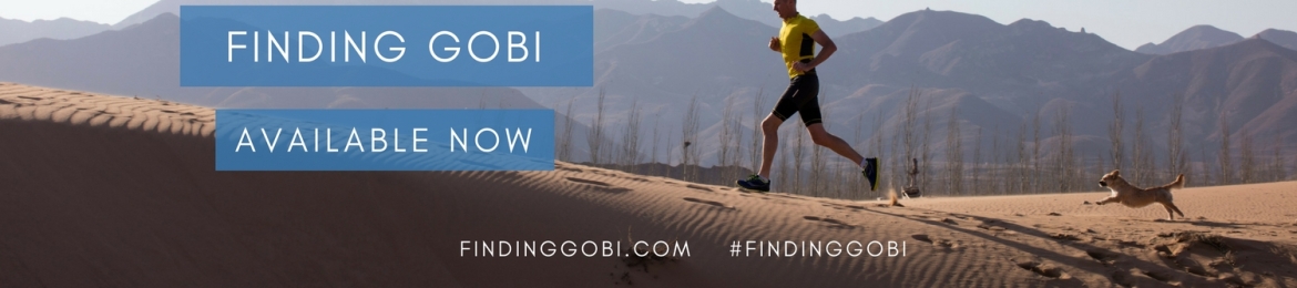 Dion Leonard's cover banner