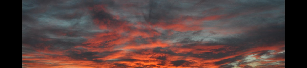 Donivyn Zanders's cover banner