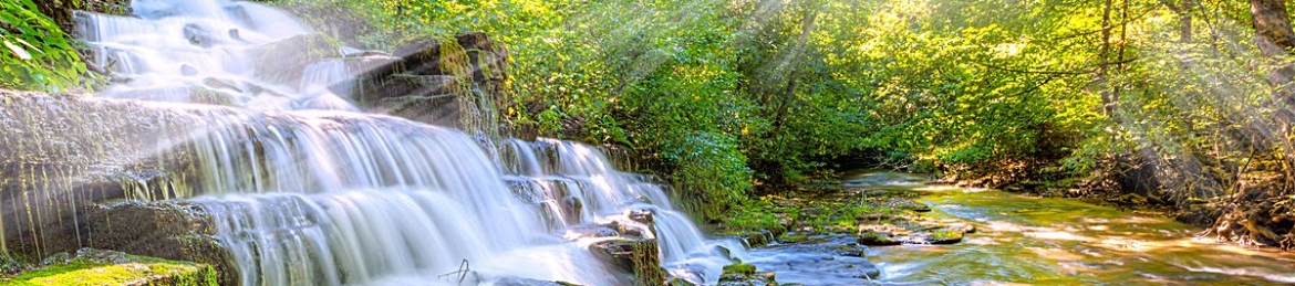 Donna Hunter's cover banner