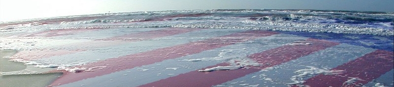 Donny Daughenbaugh's cover banner