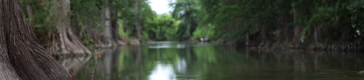 Donny Dust's cover banner