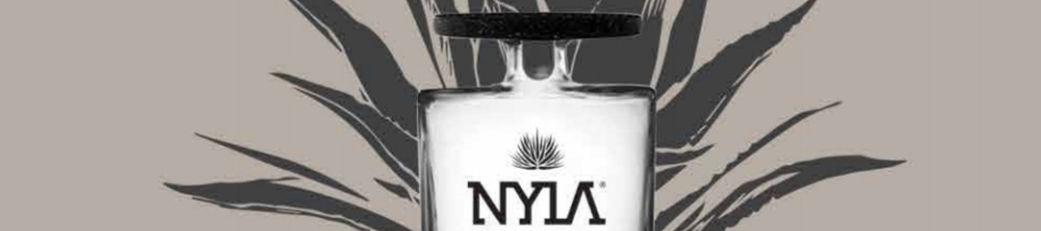 Doran Santiago Ramos's cover banner