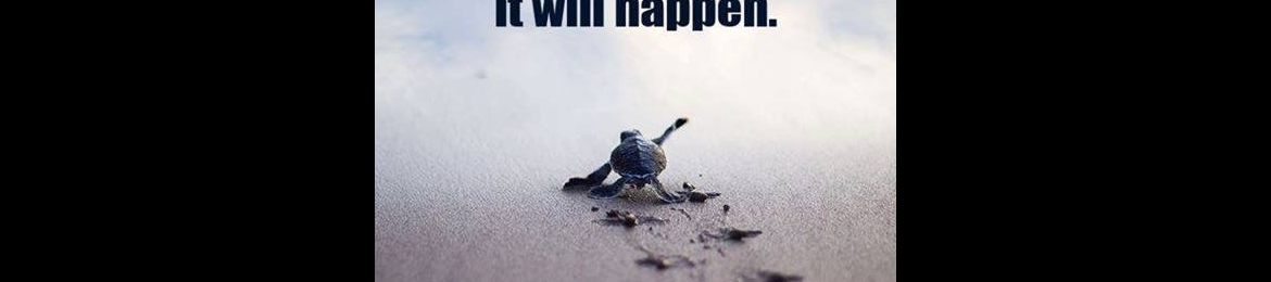 Douglas Lawson's cover banner