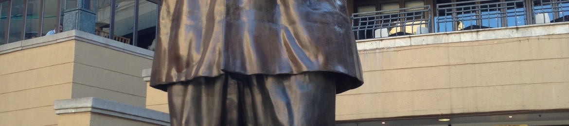 Dr Hussein Elrawy's cover banner