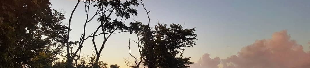 Drew Belardo's cover banner