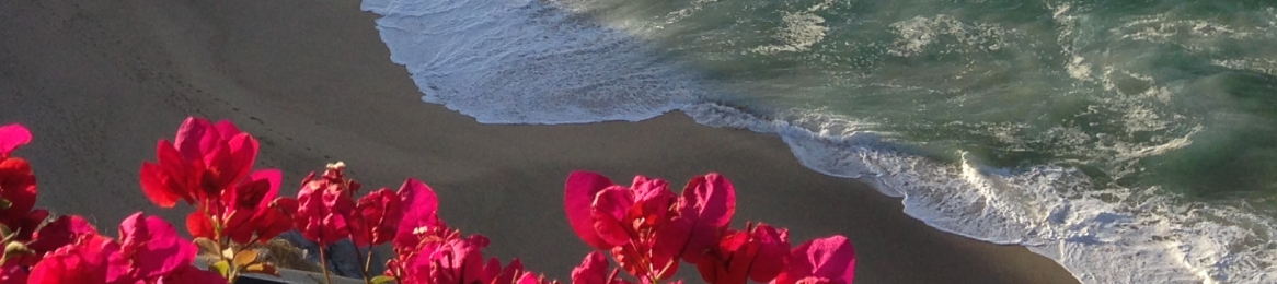 Dwight Zähringer's cover banner