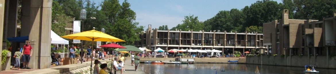 Edia Stanford-Bruce's cover banner