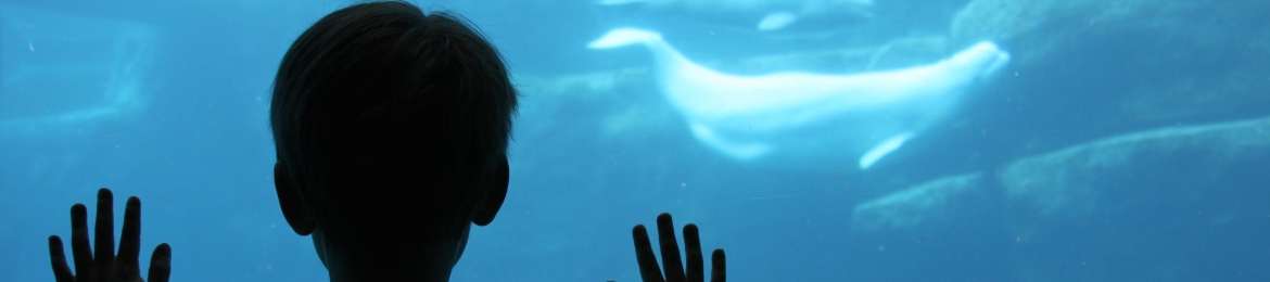 Edward Varner's cover banner