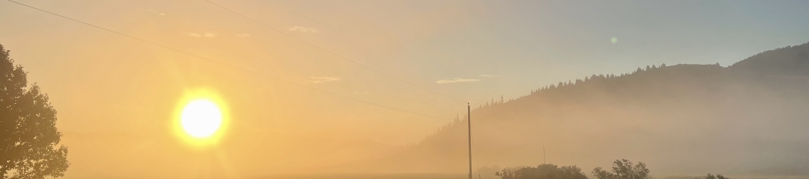 Elisa Neven-Pugh's cover banner