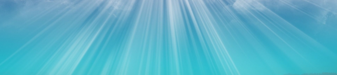 Elizabeth Ross's cover banner