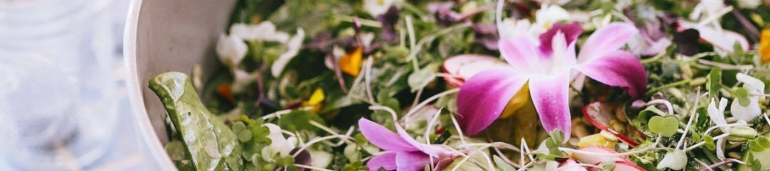 Emilía Rún's cover banner