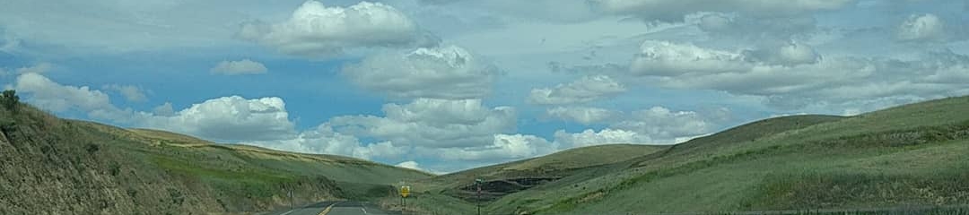 Emily Richman's cover banner