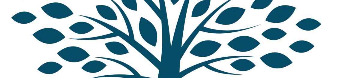 Emily Wanderer Cohen's cover banner