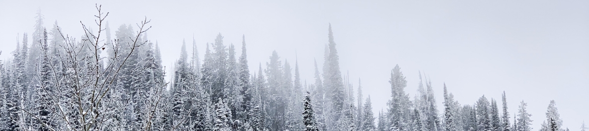 Emma Burbie's cover banner