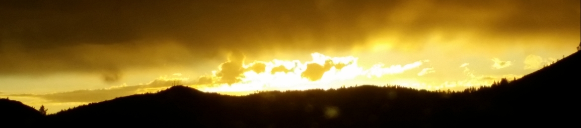 Emma Swan's cover banner