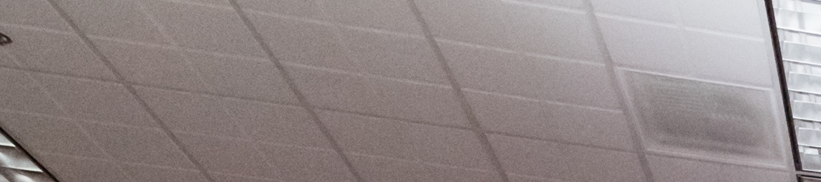 Erin Gargan's cover banner