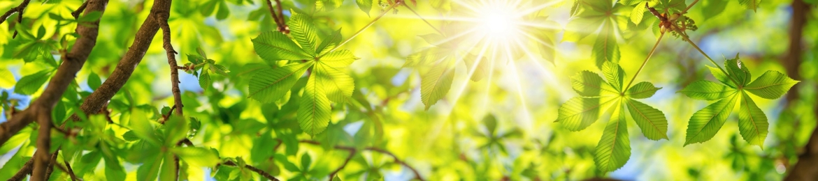 Esteban Polidura, CFA's cover banner