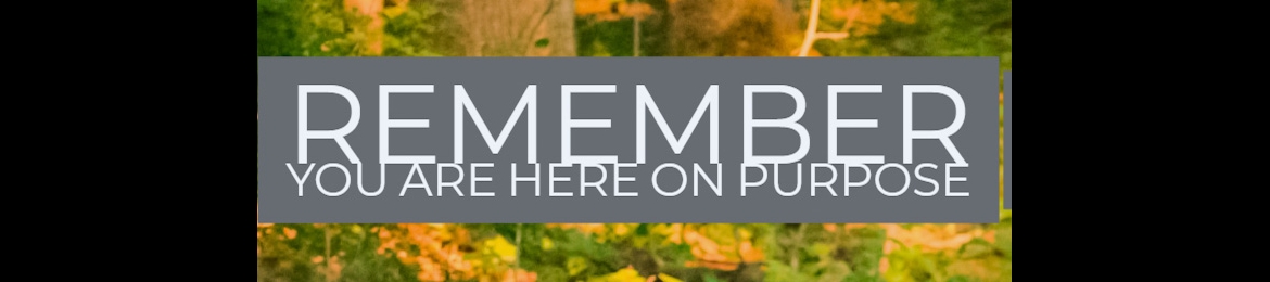 Ethel Burnett's cover banner