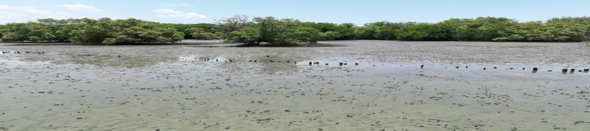 Faiz Chowdhury's cover banner