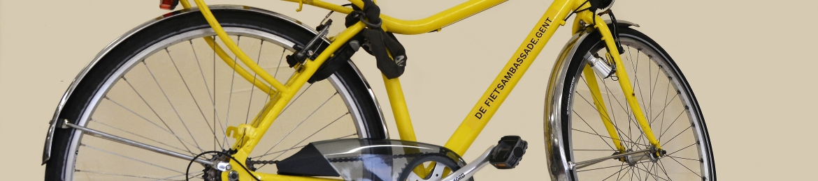 Florian Van Damme's cover banner