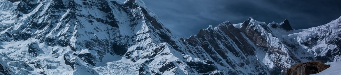 Freddie Tubbs's cover banner