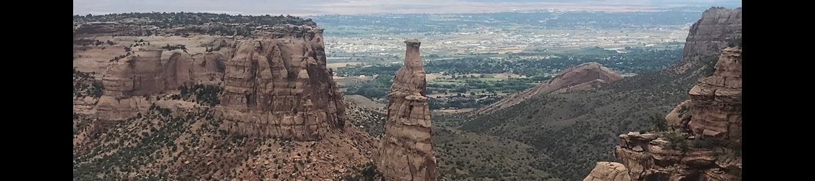 Galeet Farrow's cover banner