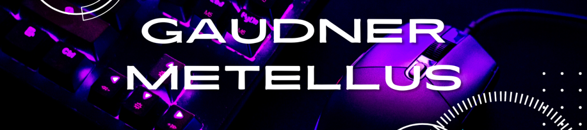 Gaudner Metellus's cover banner