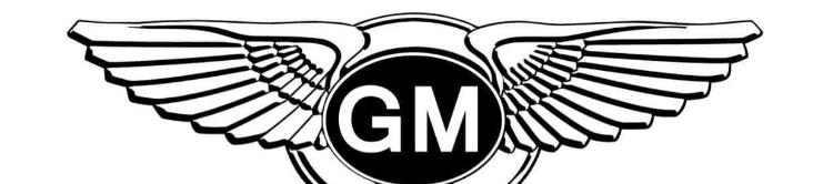 Gavin Morale's cover banner