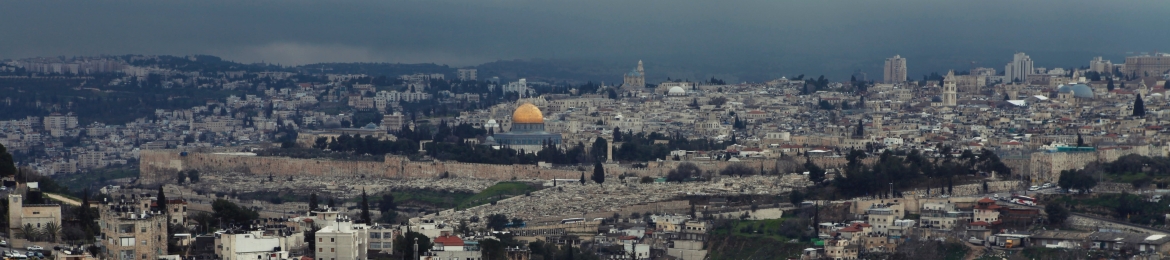 Gayle Meyers's cover banner