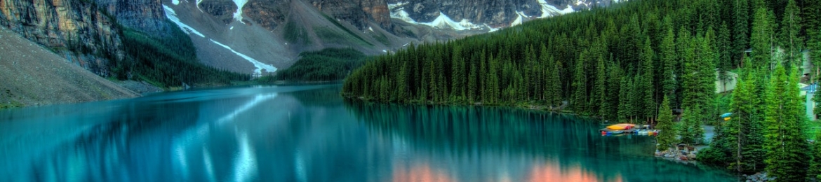 Gerard Palazzolo's cover banner